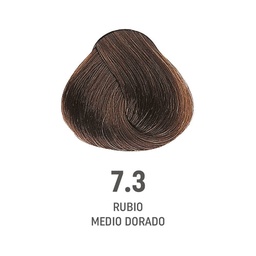 [8022297202419] TINTE COLOR AMORE ALFAPARF #7.3  (8022297128047)