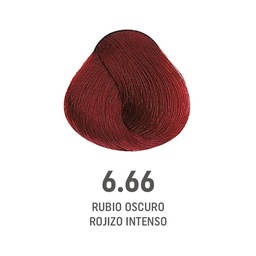 [8022297128146] TINTE COLOR AMORE ALFAPARF #6.66