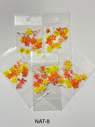 [NAT-8] NATURALEZA MUERTA 08 AMARILLO Y NARANJA